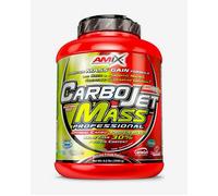 Canister Amix CarboJet Mass Professional flavor forest fruits (1.8 kg)