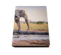 cankuop Radiant Dust Elephant Refillable A5 Notebook That Lays Flat, Leather Binder Journal for Planner, Office Supplies