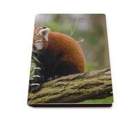 cankuop Shy Auburn Red Raccoon Refillable A5 Notebook That Lays Flat, Leather Binder Journal for Planner, Office Supplies