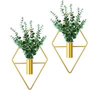 Canlierr 2 Pieces Diamond Shape Hanging Planters with Artificial Aquatic Plants Metal Hanging Vase Indoor Plants Holder Modern Geometric Wall Decor for Home Living Room Office (Gold,Eucalyptus)