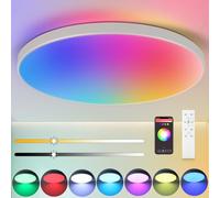 CANMEIJIA LED Ceiling Light IP44, 12 Inch 24W Smart Ceiling Lights RGB Dimmable with Remote Control Bathroom Lights 3000-6500K 2520LM for Living Room Bedroom Kitchen Hallway Round,White