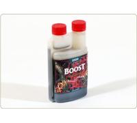 Canna Boost 250ml