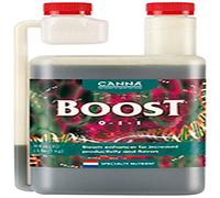 CANNA Canna Boost Accelerator 1 Ltr Fertilizer Booster
