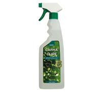 Cannacure 1L Eliminates Pests and Mildew including Spidermite also a Foliar Feed