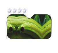 Canna or Indian Shot Medium Car Windshield Sunshade - Quick Cooling in The car in Summer, Portable Storage Sunshade