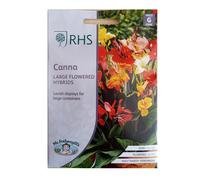Canna Seed Grow Your Garden Flowers Large Hybrids RHS Mr. Fothergill's