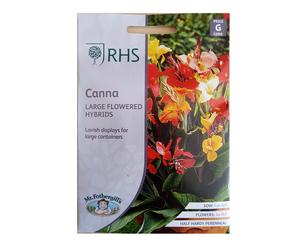 Canna Seed Grow Your Garden Flowers Large Hybrids RHS Mr. Fothergill's
