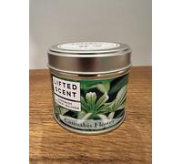 Cannabis Flower Scented Candle - Double Wooden Wick, 20cl Tin with Protective Lid - Neroli Blossom, Rose Petal & Sheer Musk Fragrance Blend for Sophisticated Home Ambiance