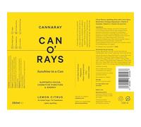 Cannaray - Functional Wellness Drink - Lion's Mane & Magnesium - Support Energy, Focus & Cognitive Function - Lemon Flavour - No Added Sugar or Sweeteners - 250ml x 12