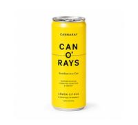 Cannaray - Functional Wellness Drink - Lion's Mane & Magnesium - Support Energy, Focus & Cognitive Function - Lemon Flavour - No Added Sugar or Sweeteners - 250ml x 1