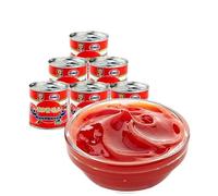 Canned Tomato Sauce 198g/can, Home French Fries Ketchup and Spaghetti Tomato Sauce, Salad Sauce and Burger Dipping Sauce, Stir Fry Seasoning Sauce, Delicious Side Dishes, Seasoned Dishes (1 can)