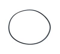 Cannister Seal O Ring for Filtoclear 3000-15000 (Part 24812)