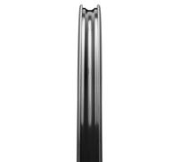 Cannondale R-s 64 isc Road Front Wheel 12 x 100 mm Black