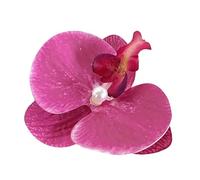 CANNXI Elegant Flower Hair Clip Unique Hair Barrettes Large Flower Acrylic Hair Clip Chic Hairpin for Weddings and Parties