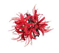CANNXI French Large Bianan Flower Hairpin Claw Elegant Hair Clip Side Clip Hairpin Girl Hair