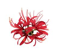 CANNXI French Large Bianan Flower Hairpin Claw Elegant Hair Clip Side Clip Hairpin Girl Hair