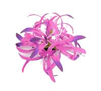 CANNXI French Large Bianan Flower Hairpin Claw Elegant Hair Clip Side Clip Hairpin Girl Hair