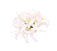 CANNXI French Large Bianan Flower Hairpin Claw Elegant Hair Clip Side Clip Hairpin Girl Hair