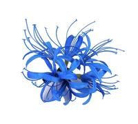 CANNXI French Large Bianan Flower Hairpin Claw Elegant Hair Clip Side Clip Hairpin Girl Hair
