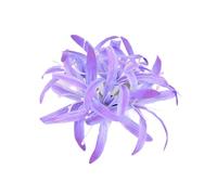 CANNXI French Large Bianan Flower Hairpin Claw Elegant Hair Clip Side Clip Hairpin Girl Hair