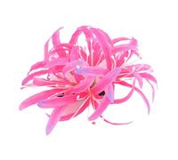 CANNXI French Large Bianan Flower Hairpin Claw Elegant Hair Clip Side Clip Hairpin Girl Hair