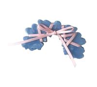 CANNXI Versatile Acrylic Hair Claw Ballet Style Ribbon Tie Bowknot Acetate Claw Clips Stylish Headwear Hair Accessory for Women