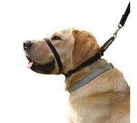 Canny Collar No-Pull Dog Headcollar | Train Your Dog To Stop Pulling & Walk On a Regular Collar & Loose Lead | Kind, Safe, Comfortable Training Aid | Black - Size 3