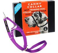 Canny Collar No-Pull Dog Headcollar | Gentle Training Aid to Stop Pulling on Lead | Humane Lead Control Collar for Better Walks | Comfortable & Secure Fit | Purple - Size 6