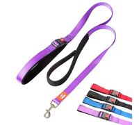 Canny CONNECT Lead - Anti-Pull Dog Lead for Head Collars in anny Collar | Soft Grip for Small Dogs & Puppies | Encourages Calm Walking - 120cm x 15mm, Purple