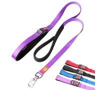 Canny Heavy Duty Dog Leash | Small, Medium, & Large Dogs | Leash with Handle, Buckle, Padded Grip & Secure Clip | Tie Your Dog Anywhere, Length 4ft, Width 5/8in, Purple