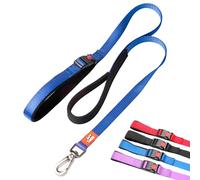 Canny Leash Connect | Heavy Duty Dog Leash | Small, Medium, & Large Dogs | Leash with Handle, Buckle, Padded Grip & Secure Clip | Tie Your Dog Anywhere, Length 4ft, Width 5/8in, Blue