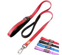 Canny Leash Connect | Heavy Duty Dog Leash | Small, Medium, & Large Dogs | Leash with Handle, Buckle, Padded Grip & Secure Clip | Tie Your Dog Anywhere, Length 4ft, Width 5/8in, Red