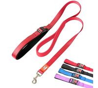 Canny CONNECT Lead - Anti-Pull Dog Lead for Head Collars incl. Canny Collar | Soft Grip for Small Dogs & Puppies | Encourages Calm Walking - 120cm x 15mm, Red