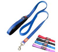 Canny CONNECT Lead - Anti-Pull Dog Lead for Head Collars incl. Canny Collar | Soft Grip for Small Dogs & Puppies | Encourages Calm Walking - 120cm x 15mm, Blue