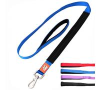Canny Heavy Duty Dog Leash | Perfect for Small, Medium & Large Dogs | Padded Grip, Secure Clip, Blue, 4ft x 1in