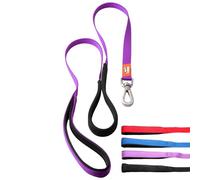 Canny Leash | Heavy Duty Dog Leash | Perfect for Small, Medium, & Large Dogs | Leash with Handle, Padded Grip & Secure Clip | Length 4ft, Width 5/8in, Purple