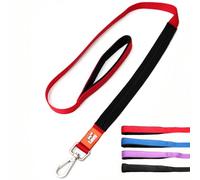 Canny Leash | Heavy Duty Dog Leash | Perfect for Small, Medium, & Large Dogs | Leash with Handle, Padded Grip & Secure Clip | Length 4ft, Width 1in, Red
