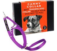 Canny No-Pull Dog Training Headcollar To Stop Pulling On Lead Purple Size 2 | Kind, safe, comfortable & gentle, trains your dog to walk on his normal collar & loose lead without harsh correction.