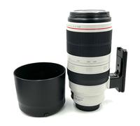Canon EF 100-400mm f/4.5-5.6L IS II USM Lens