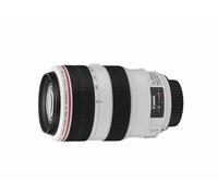 Canon EF 70-300mm f/4-5.6L IS USM SLR Telephoto lens Black, White
