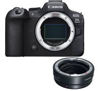 Canon EOS R6 Mark II Mirrorless Camera Body with EF-EOS R mount adapter