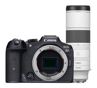 Canon EOS R7 + RF 200-800mm F/6.3-9 IS USM