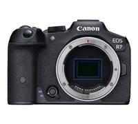 Canon EOS R7 + Sigma 18-50mm F/2.8 DC DN Canon RF Mount + Canon DM-E1 Stereo Microphone