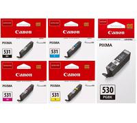 Canon Ink Cartridge PGI530BK CLI531BK CLI531C CLI531M CLI531Y CLI531GY Setup Lot