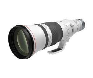 Canon RF 600mm f/4L IS USM Lens