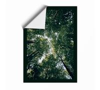 Canopy Above Scandinavian Unframed Wall Art Print A1 (84.1×59.4cm), Wall Decor for Living Room, Bedroom, Office & Home, Art Gift