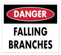 Canopy Debris Warning Simple Metal Sign For Nature Walk 12x8 Inch