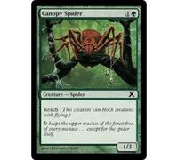 Canopy Spider | 10th Edition