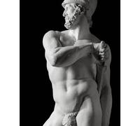 Canova. Four Tempos: Volume IV: Sculptures from the Gypsotheca of Possagno