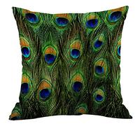 CANSEGO Peacock Feather Pillowcases Bird Animal Fur Exotic Tail Throw Pillow Cushion Covers Cotton Linen for Men Women Boys Girls Living Room 18x18 Inch
